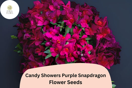 Candy Showers Purple Snapdragon Seeds | Cascading Blooms, Hanging Baskets