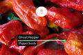 Ghost Pepper Seeds – Bhut Jolokia, Super Hot Heirloom Chili, Capsicum chinense, Red, Extreme Heat, Spicy Hot Sauce, 90-120 Days