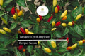 25 Tabasco Pepper Seeds – Heirloom, Spicy & Tangy, High-Yielding Capsicum frutescens for Hot Sauces & Salsas