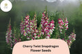 Cherry Twist Snapdragon Seeds | Vibrant Red Blooms, 1000+ Seeds