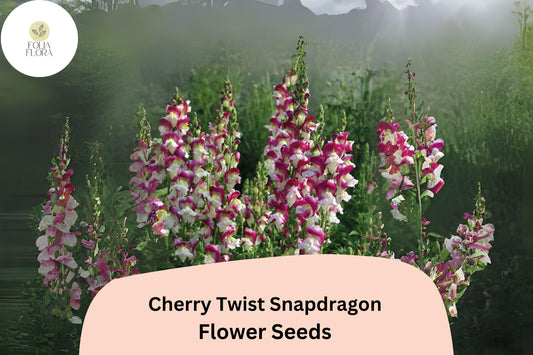 Cherry Twist Snapdragon Seeds | Vibrant Red Blooms, 1000+ Seeds
