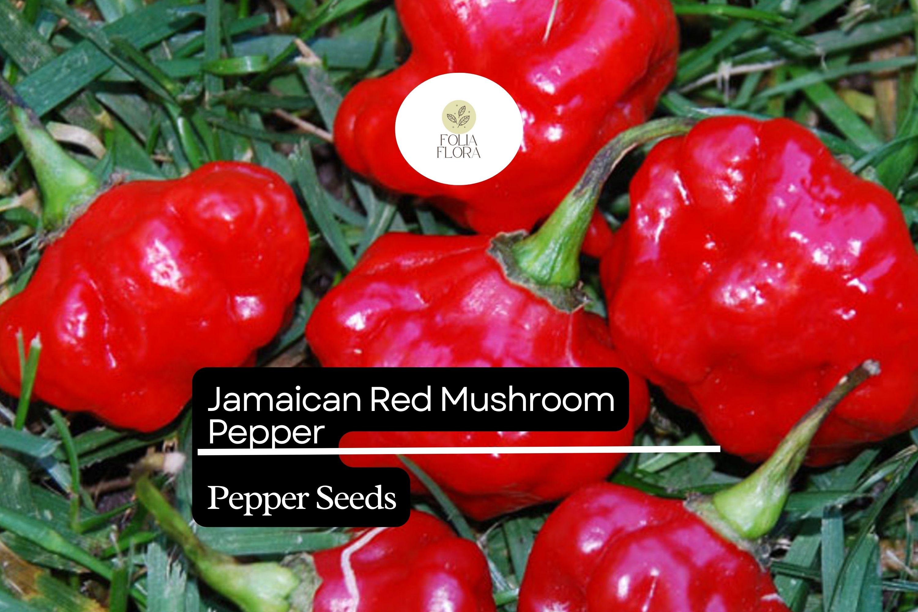 Jamaican Red Mushroom Pepper Seeds – Heirloom, Spicy, Smoky, High-Yield Capsicum chinense, Unique Mushroom-Shaped, Non-GMO