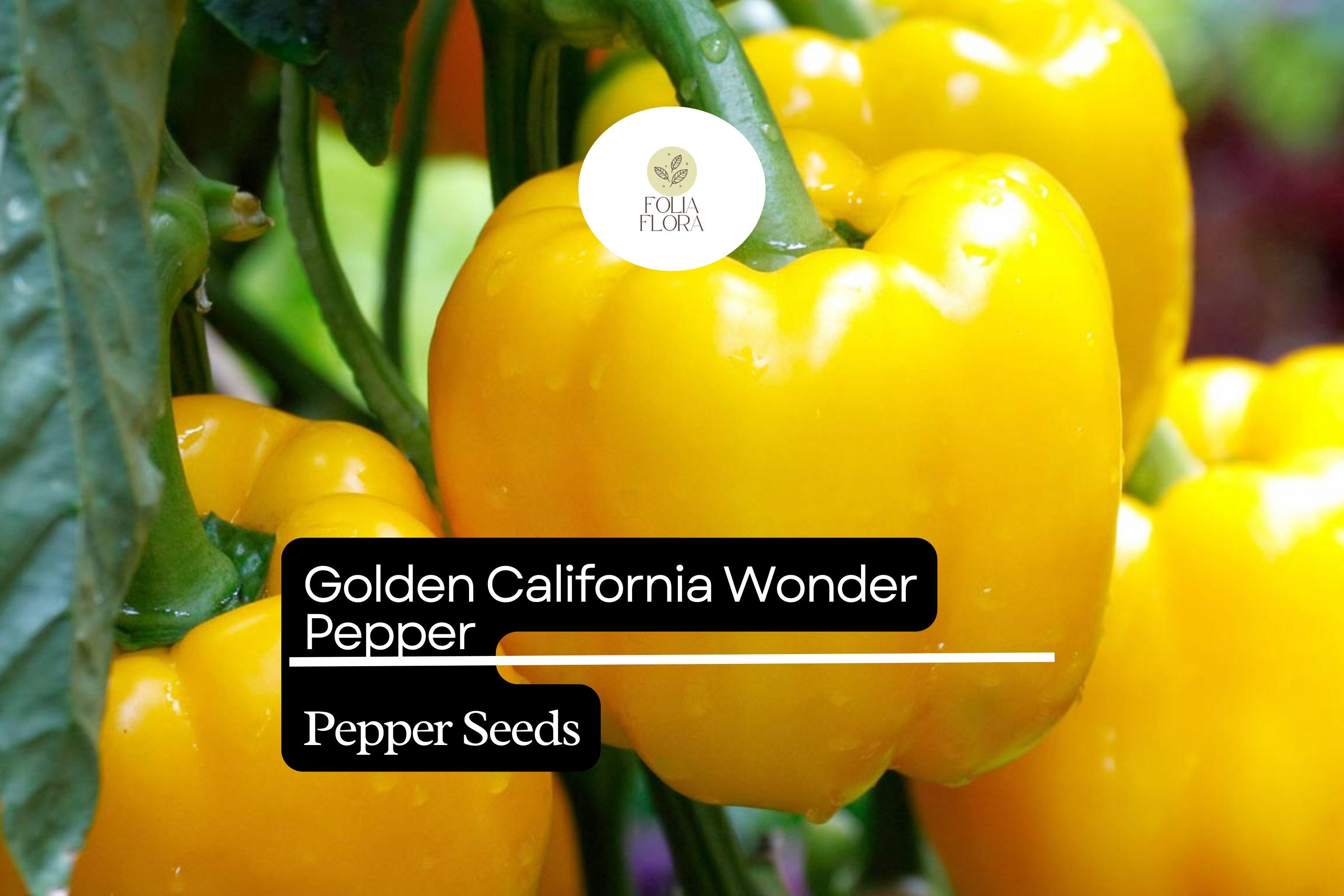 Golden California Wonder Pepper Seeds – Heirloom, Sweet, High-Yielding, Thick-Walled Bell Pepper (Capsicum annuum)
