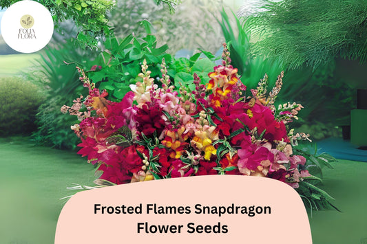 Frosted Flames Snapdragon Seeds â€“ Heirloom Variegated Blooms, 1000+ Seeds