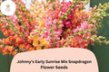 Antirrhinum majus Johnnyâ€™s Potomac Early Sunrise Mix Snapdragon Seeds â€“ 1000+ Vibrant Cut Flower Seeds