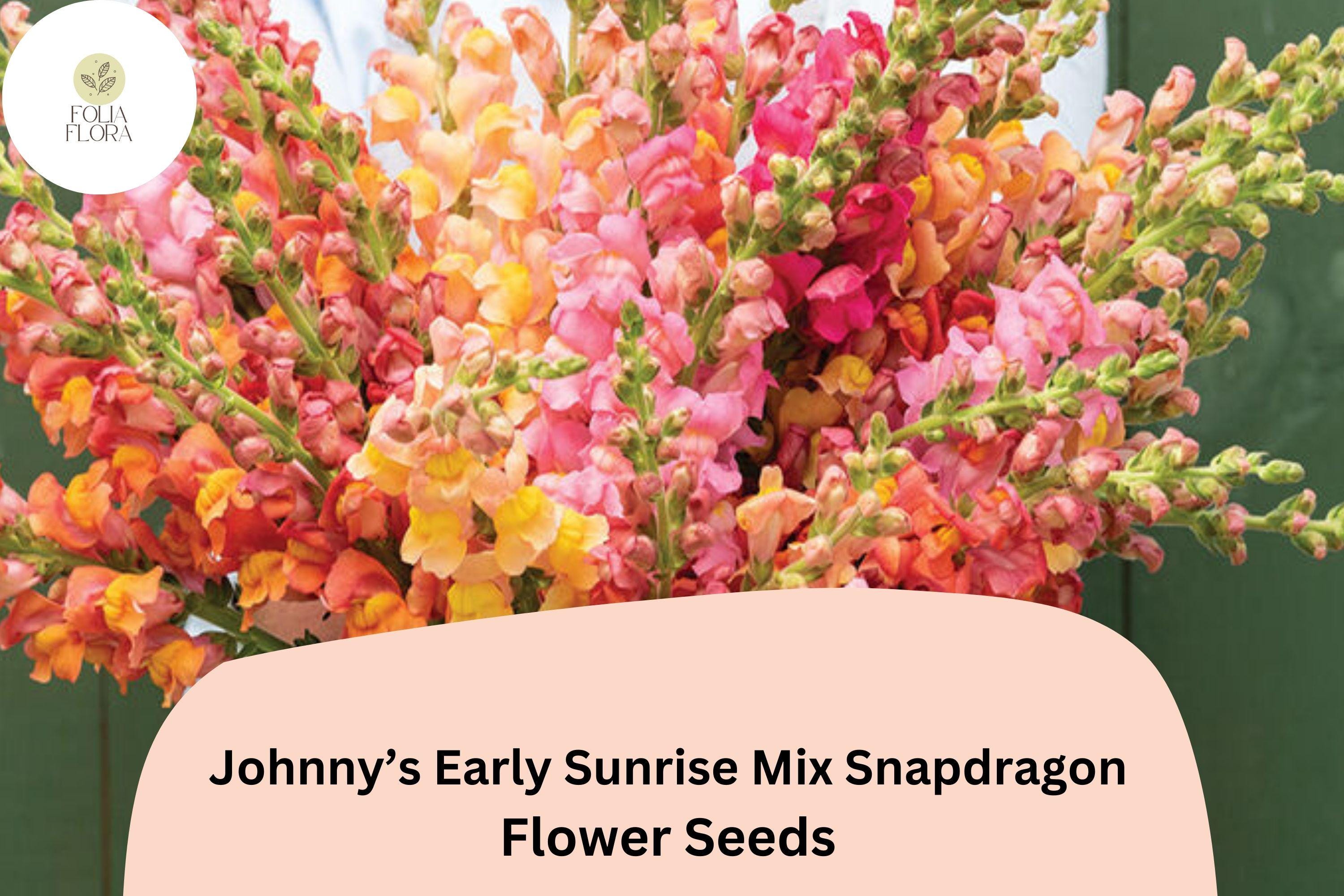 Antirrhinum majus Johnnyâ€™s Potomac Early Sunrise Mix Snapdragon Seeds â€“ 1000+ Vibrant Cut Flower Seeds