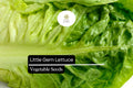 Little Gem Lettuce Seeds â€“ Mini Romaine, Heirloom Non-GMO