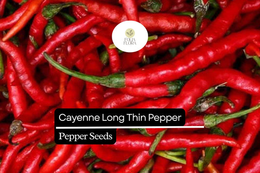 Cayenne Pepper Seeds - Long Thin Red Heirloom Chili - Spicy Capsicum annuum for Drying, Pickling & Cooking