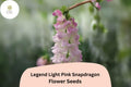 Legend Light Pink Snapdragon Seeds | 1000+ Seeds | Double Blooms for Garden