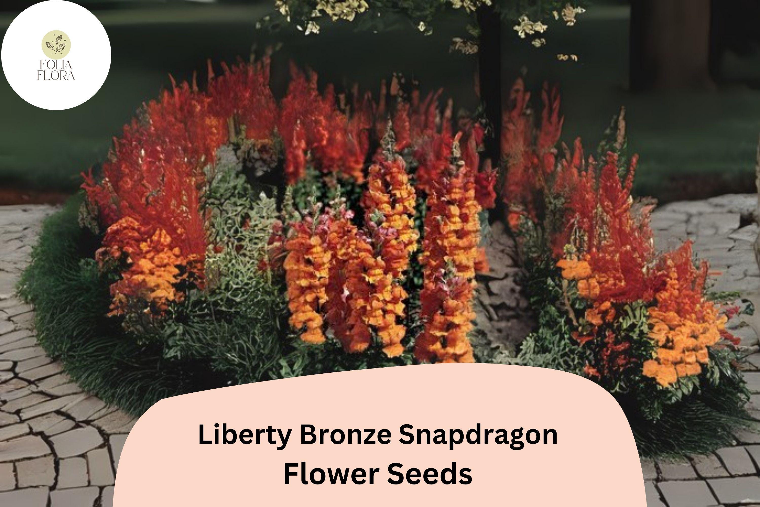 Antirrhinum majus Liberty Bronze Snapdragon Seeds â€“ 1000+ Warm-Toned Blooms for Garden & Cut Flowers