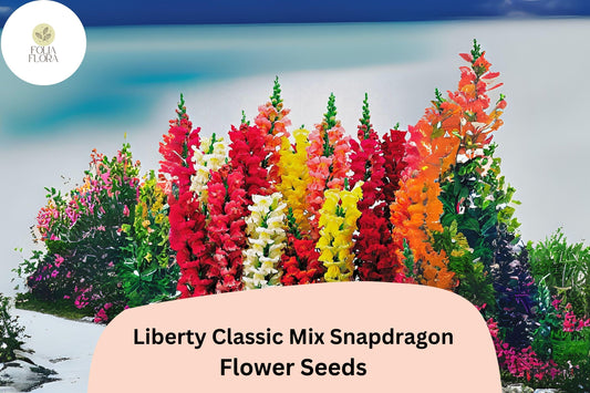 Antirrhinum majus Liberty Classic Mix Snapdragon Seeds â€“ 1000+ Vibrant Blooms for Garden & Cut Flowers