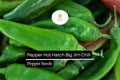 Hatch Big Jim Pepper Seeds â€“ Heirloom Mild Chili, Non-GMO