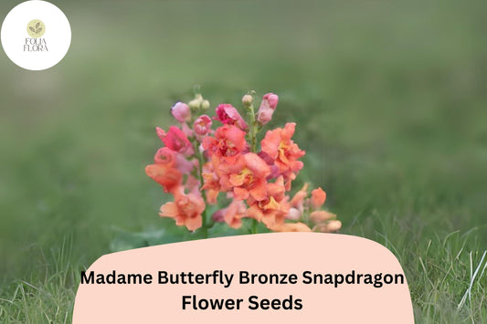 Antirrhinum majus Madame Butterfly Bronze Snapdragon Seeds â€“ 1000+ Double-Petal Blooms for Garden & Cut Flowers