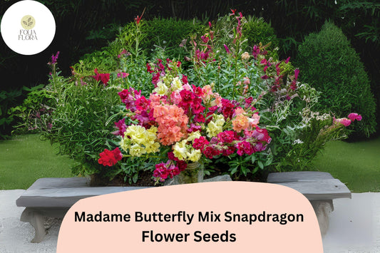 Antirrhinum majus Madame Butterfly Mix Snapdragon Seeds â€“ 1000+ Double-Petal Blooms for Garden & Cut Flowers