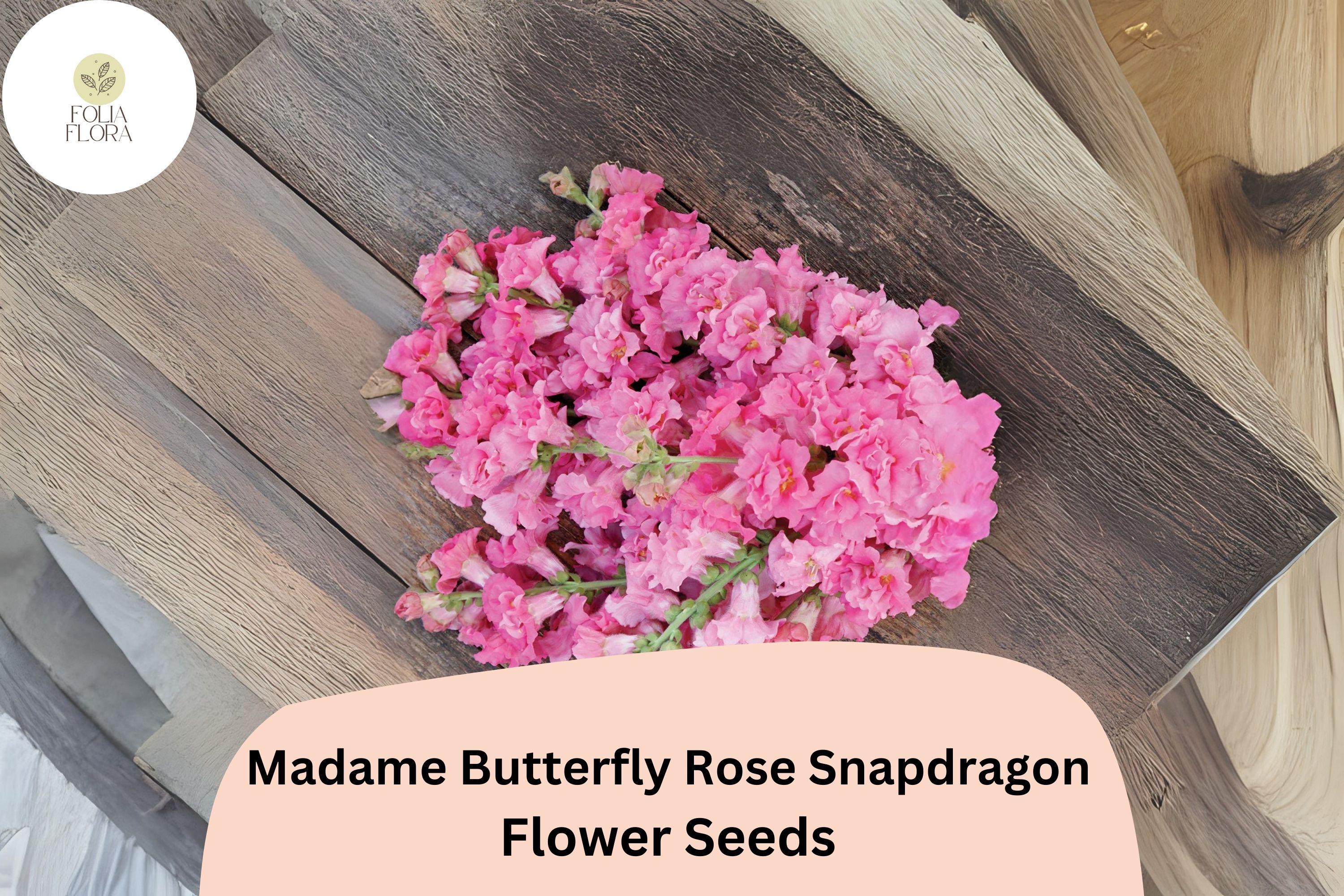 Antirrhinum majus Madame Butterfly Rose Snapdragon Seeds â€“ 1000+ Ruffled Blooms for Garden & Cut Flowers
