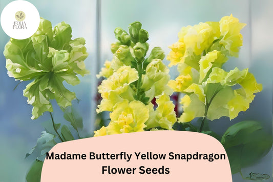 Antirrhinum majus Madame Butterfly Yellow Snapdragon Seeds â€“ 1000+ Ruffled Blooms for Garden & Cut Flowers