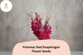 Antirrhinum majus Potomac Red Snapdragon Seeds â€“ 1000+ Bold Red Blooms for Garden & Cut Flowers