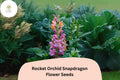 Antirrhinum majus Rocket Orchid Snapdragon Seeds â€“ 1000+ Elegant Purple Blooms for Garden & Cut Flowers