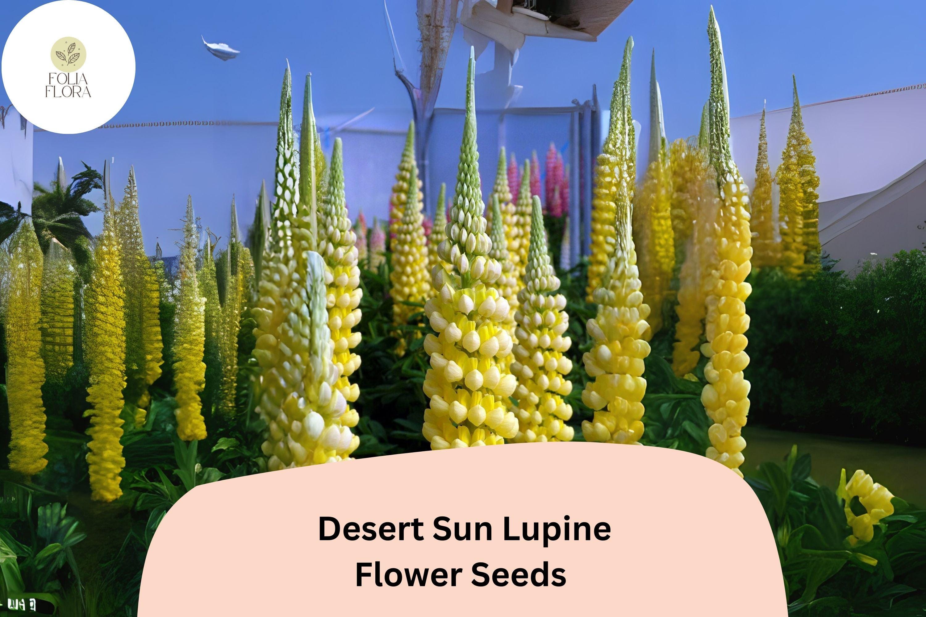 Lupinus â€˜Desert Sunâ€™ Lupine Seeds â€“ 25+ Bright Yellow & Orange Blooms for Garden Planting