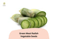 500+ Green Meat Radish Seeds â€“ Heirloom Daikon Variety, Crisp & Mild Flavor