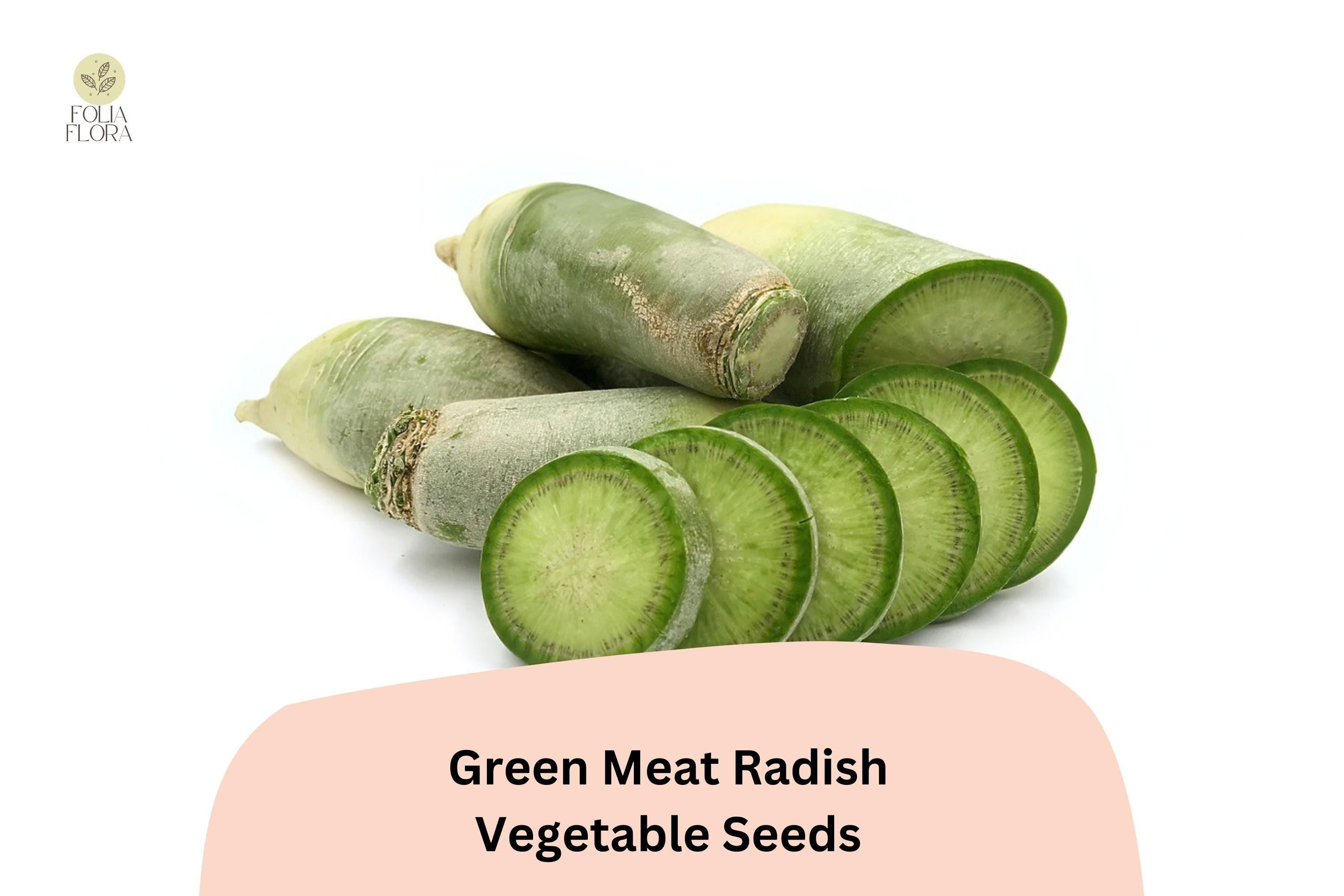 500+ Green Meat Radish Seeds â€“ Heirloom Daikon Variety, Crisp & Mild Flavor