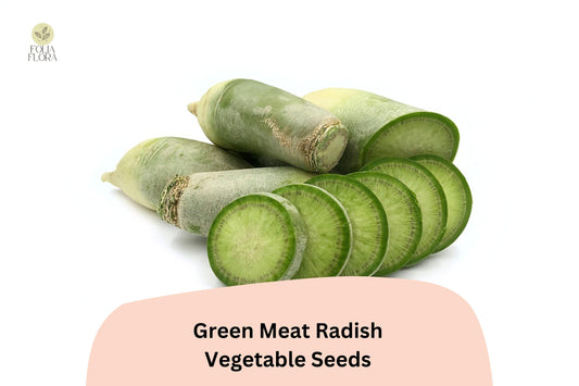 500+ Green Meat Radish Seeds â€“ Heirloom Daikon Variety, Crisp & Mild Flavor