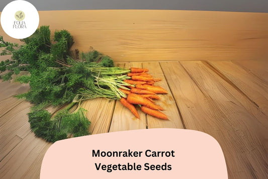 1000+ Moonraker Carrot Seeds â€“ Sweet, Crisp, White Heirloom Carrots