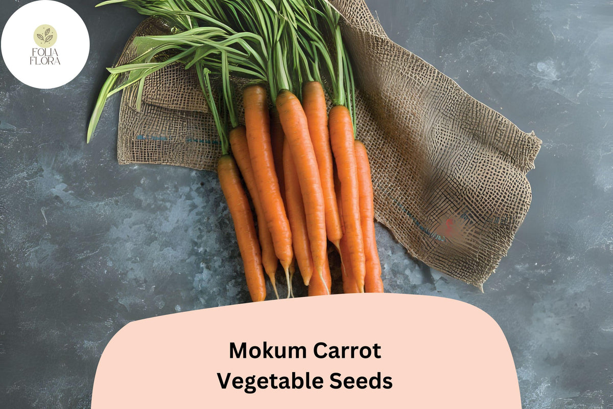 1000+ Mokum Carrot Seeds â€“ Sweet, Crisp, Early Maturing Hybrid Carrots
