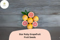 5+ Star Ruby Grapefruit Seeds â€“ Juicy, Deep Red, Sweet-Tart Citrus Tree