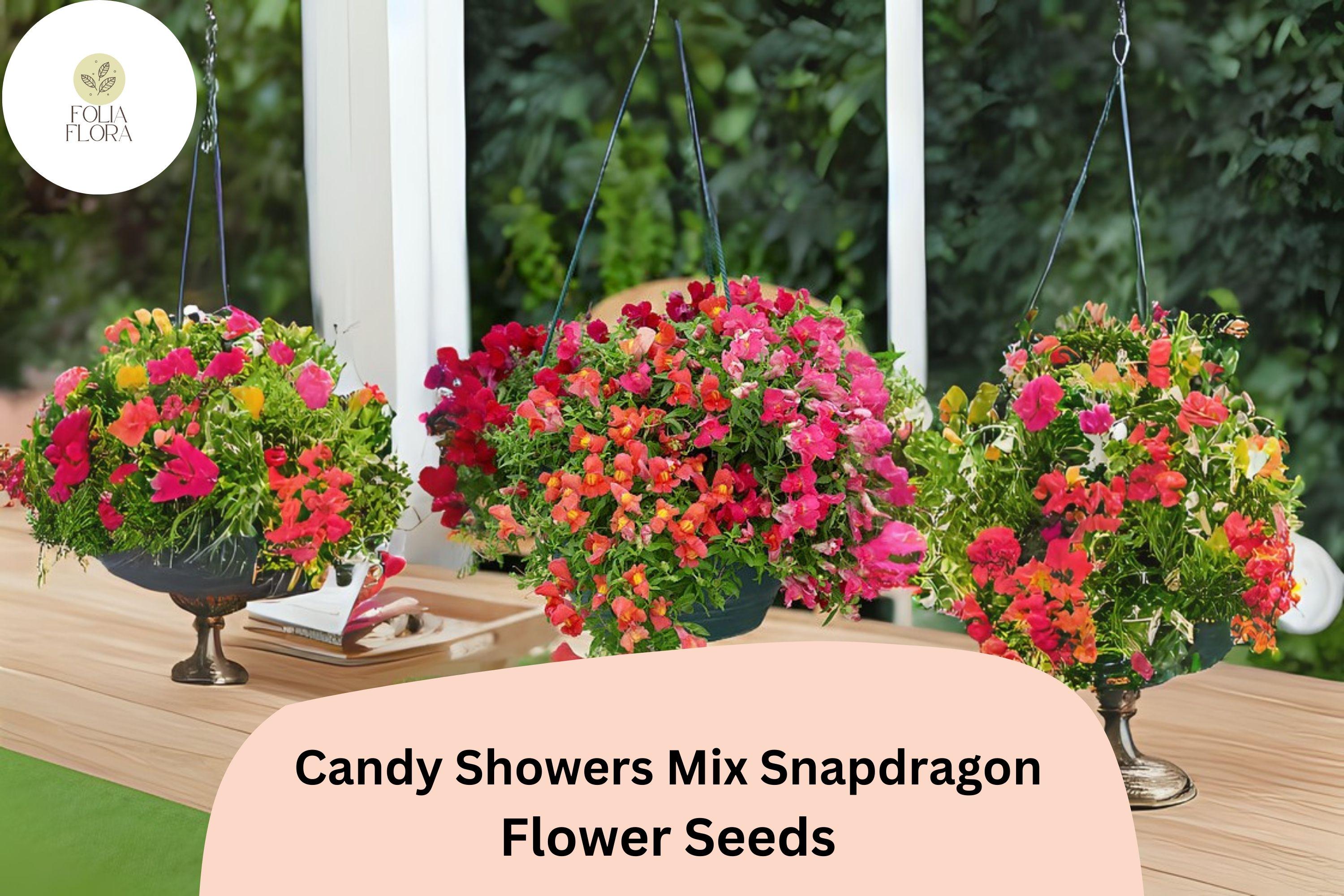 Candy Showers Snapdragon Seeds | Trailing Blooms for Hanging Baskets