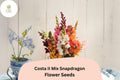 Costa II Snapdragon Seeds | Vibrant Mixed Colors, Cut Flower Garden
