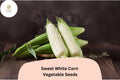 50 Sweet White Corn Seeds â€“ Heirloom, Non-GMO, Home Garden