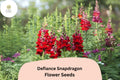 Defiance Snapdragon Seeds (Antirrhinum majus) | 1000+ Seeds | Bold Red Blooms for Garden & Cut Flowers