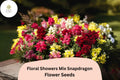 Dwarf Snapdragon Seeds | Floral Showers Mix, Colorful Blooms (1000+ Seeds)