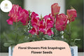 Pink Snapdragon Seeds | Dwarf Blooms, Garden & Containers (1000+ Seeds)
