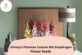 Potomac Snapdragon Flower Seeds - Johnny's Custom Mix, 1000+ Seeds