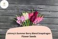 Antirrhinum majus Johnnyâ€™s Potomac Summer Berry Blend Snapdragon Seeds â€“ 1000+ Vibrant Cut Flower Seeds