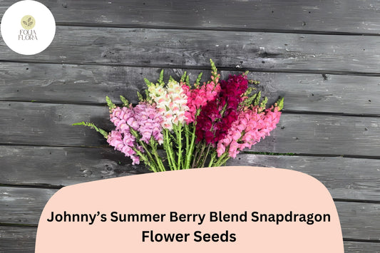 Antirrhinum majus Johnnyâ€™s Potomac Summer Berry Blend Snapdragon Seeds â€“ 1000+ Vibrant Cut Flower Seeds