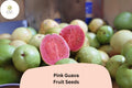 50pcs Tropical Strawberry Guava Seeds â€“ Organic Pink Guava â€“ Exotic Fruit Tree