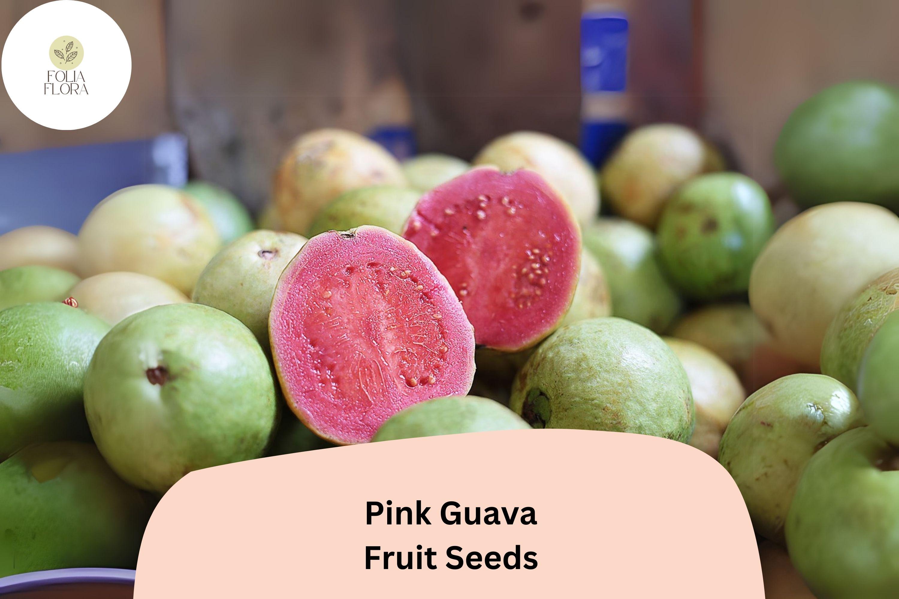 50pcs Tropical Strawberry Guava Seeds â€“ Organic Pink Guava â€“ Exotic Fruit Tree