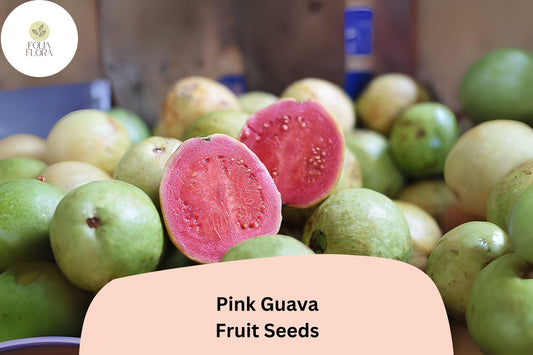 50pcs Tropical Strawberry Guava Seeds â€“ Organic Pink Guava â€“ Exotic Fruit Tree