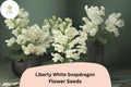 Antirrhinum majus Liberty White Snapdragon Seeds â€“ 1000+ Pure White Blooms for Garden & Cut Flowers