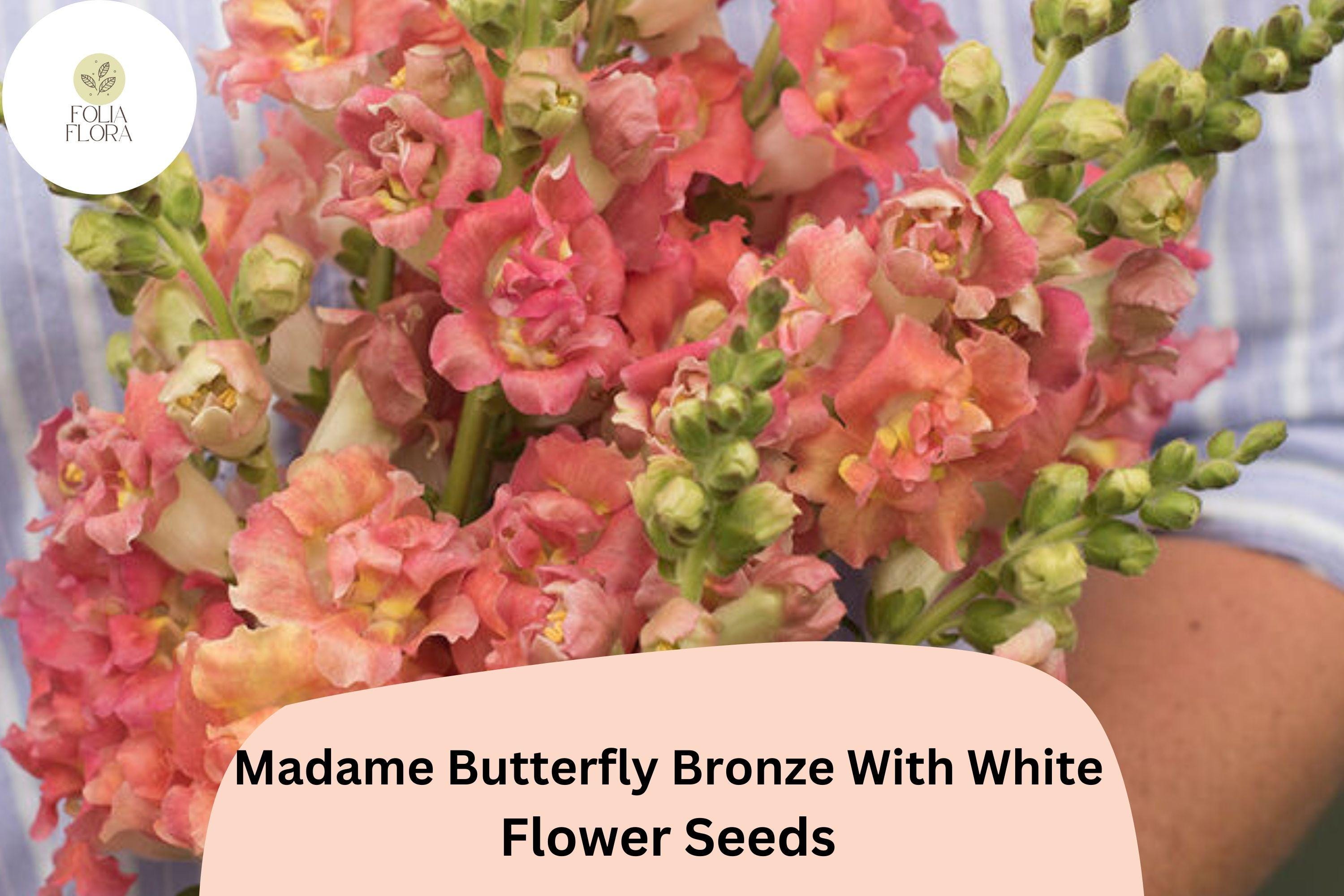 Madame Butterfly Snapdragon Seeds â€“ Ruffled Bronze White Blooms