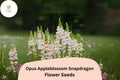 Opus Appleblossom Snapdragon Seeds â€“ Soft Pink & White Blooms