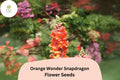 Antirrhinum majus Orange Wonder Snapdragon Seeds â€“ 1000+ Vibrant Orange Blooms for Garden & Cut Flowers