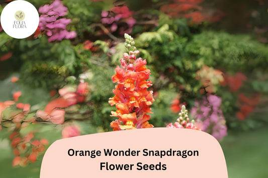 Antirrhinum majus Orange Wonder Snapdragon Seeds â€“ 1000+ Vibrant Orange Blooms for Garden & Cut Flowers