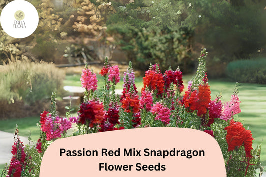 Passion Red Snapdragon Seeds â€“ 1000+ Crimson & Scarlet Blooms