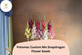 Potomac Snapdragon Seeds â€“ Custom Multi-Colored Blooms, 1000+ Seeds