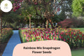 Antirrhinum majus Rainbow Mix Snapdragon Seeds â€“ 1000+ Multicolor Blooms for Vibrant Garden & Cut Flowers