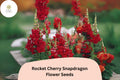 Antirrhinum majus Rocket Cherry Snapdragon Seeds â€“ 1000+ Vibrant Cherry-Red Blooms for Garden & Cut Flowers